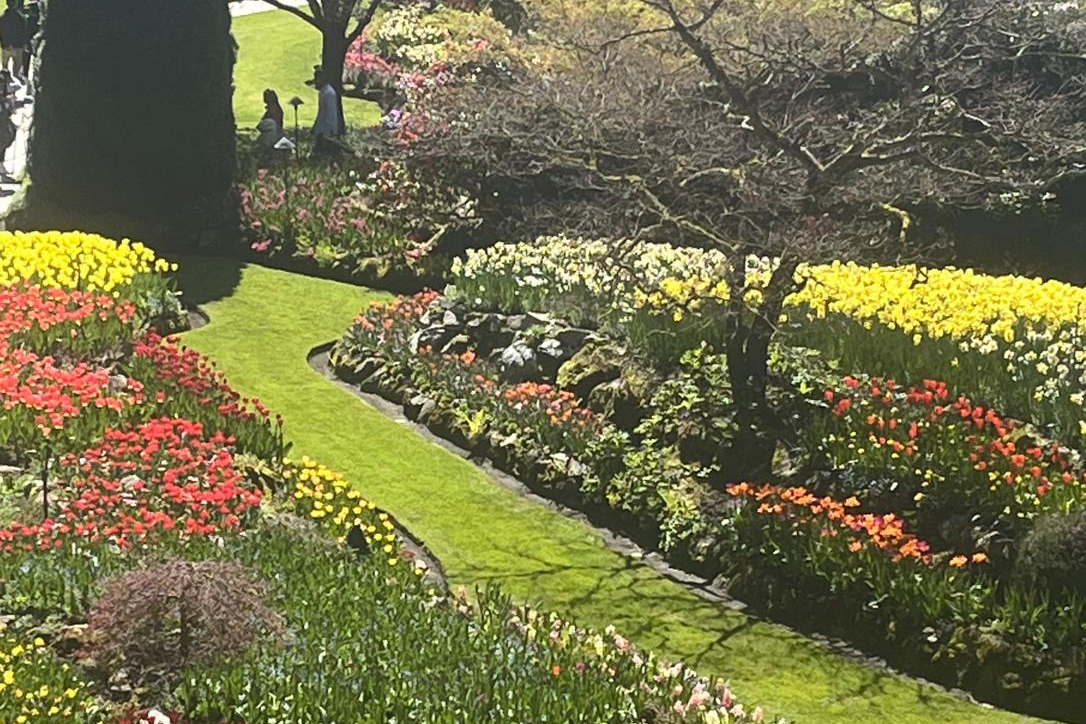 photo of the gardens