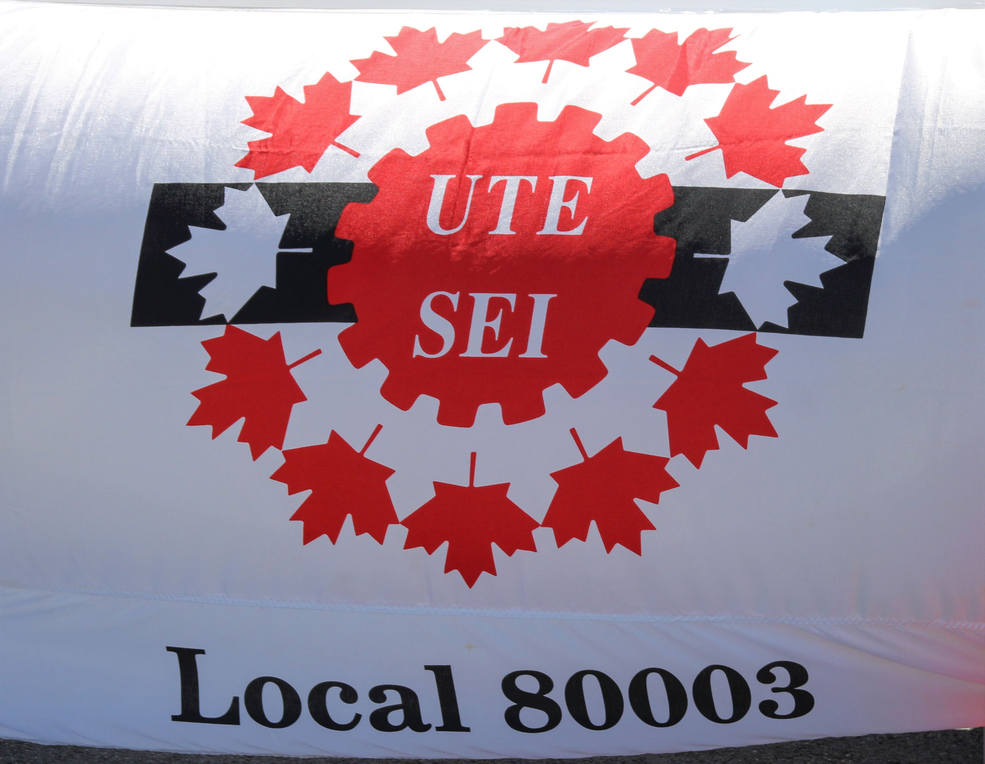 Drapeau de la Section locale 80003