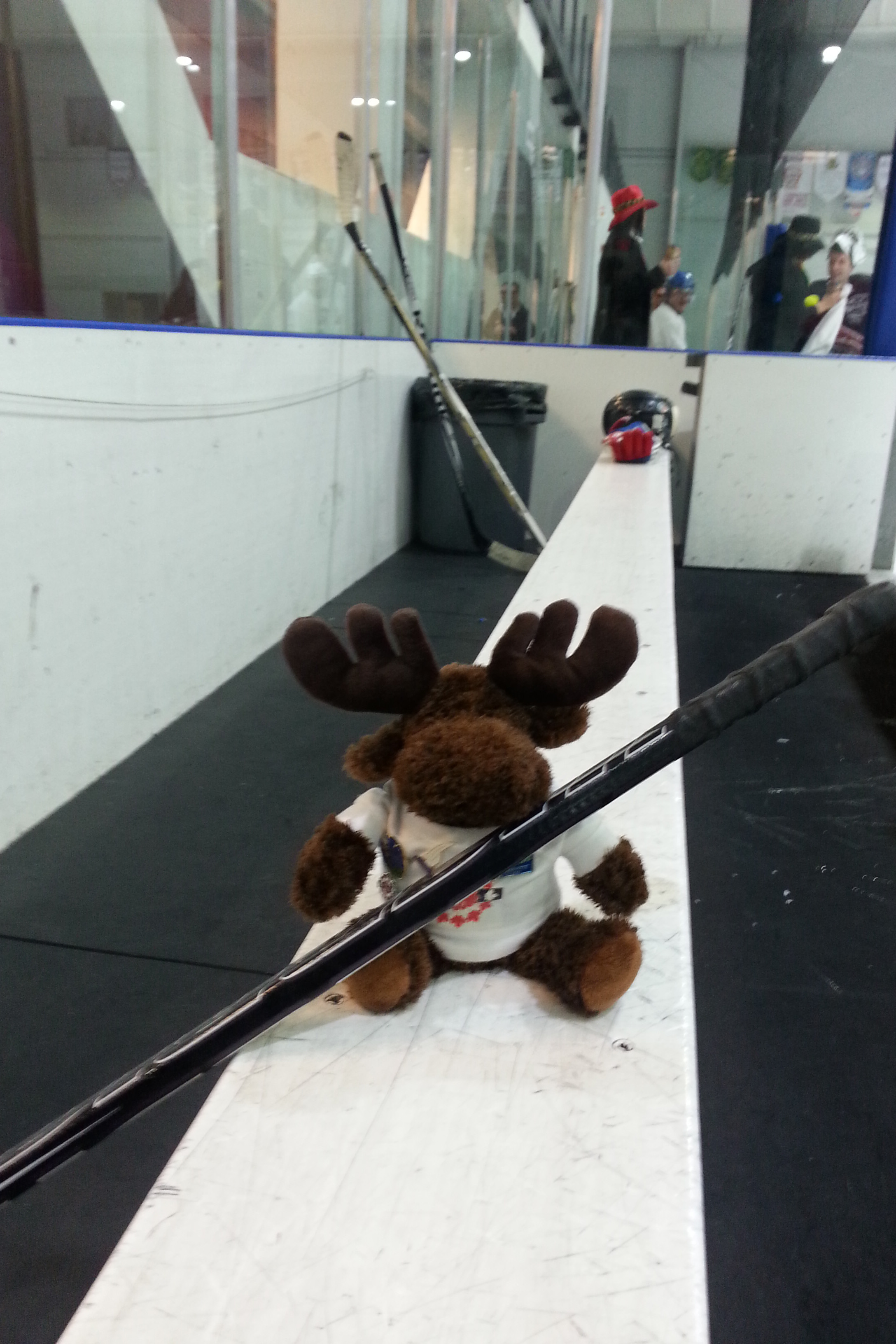 The moose had front row seats at the game and even decided to participate.